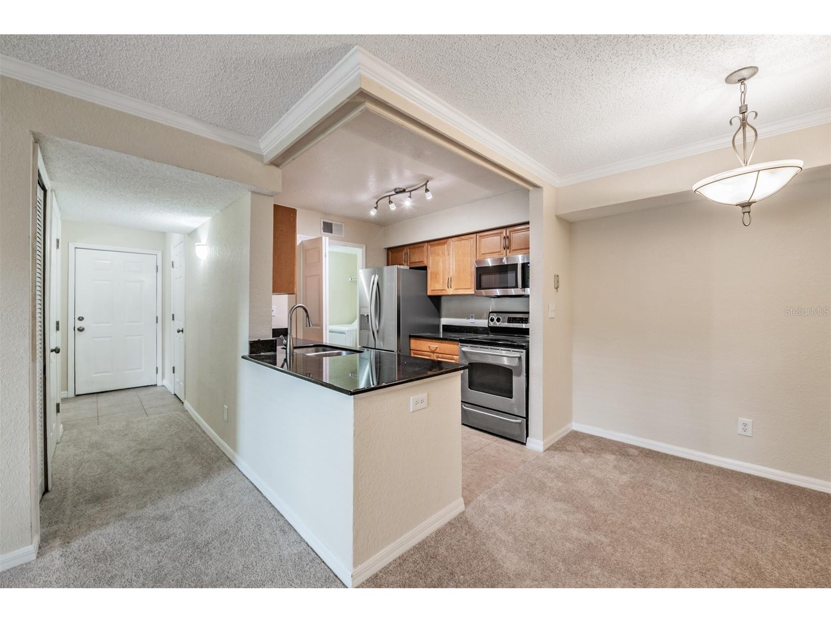 3274 Haviland Court #101 Palm Harbor FL 34684 TB8471626 image10