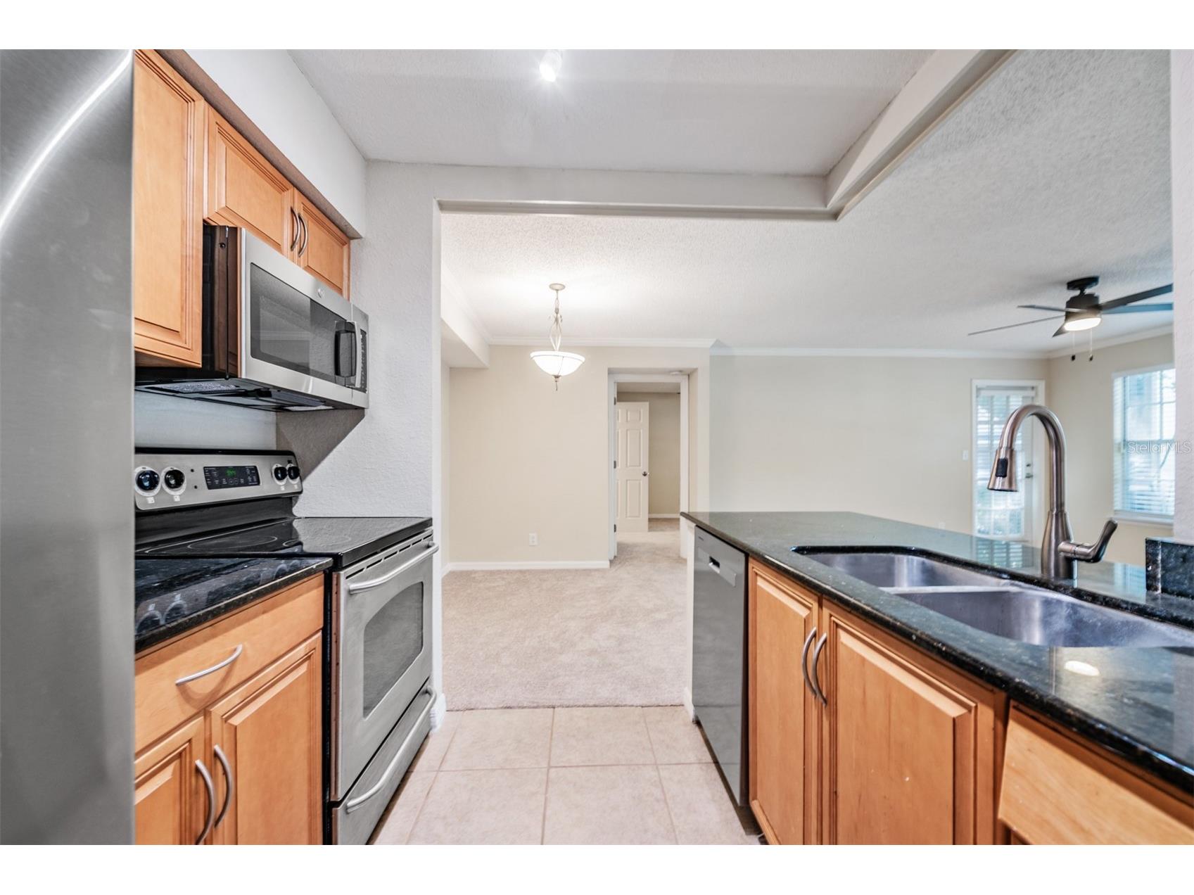 3274 Haviland Court #101 Palm Harbor FL 34684 TB8471626 image13