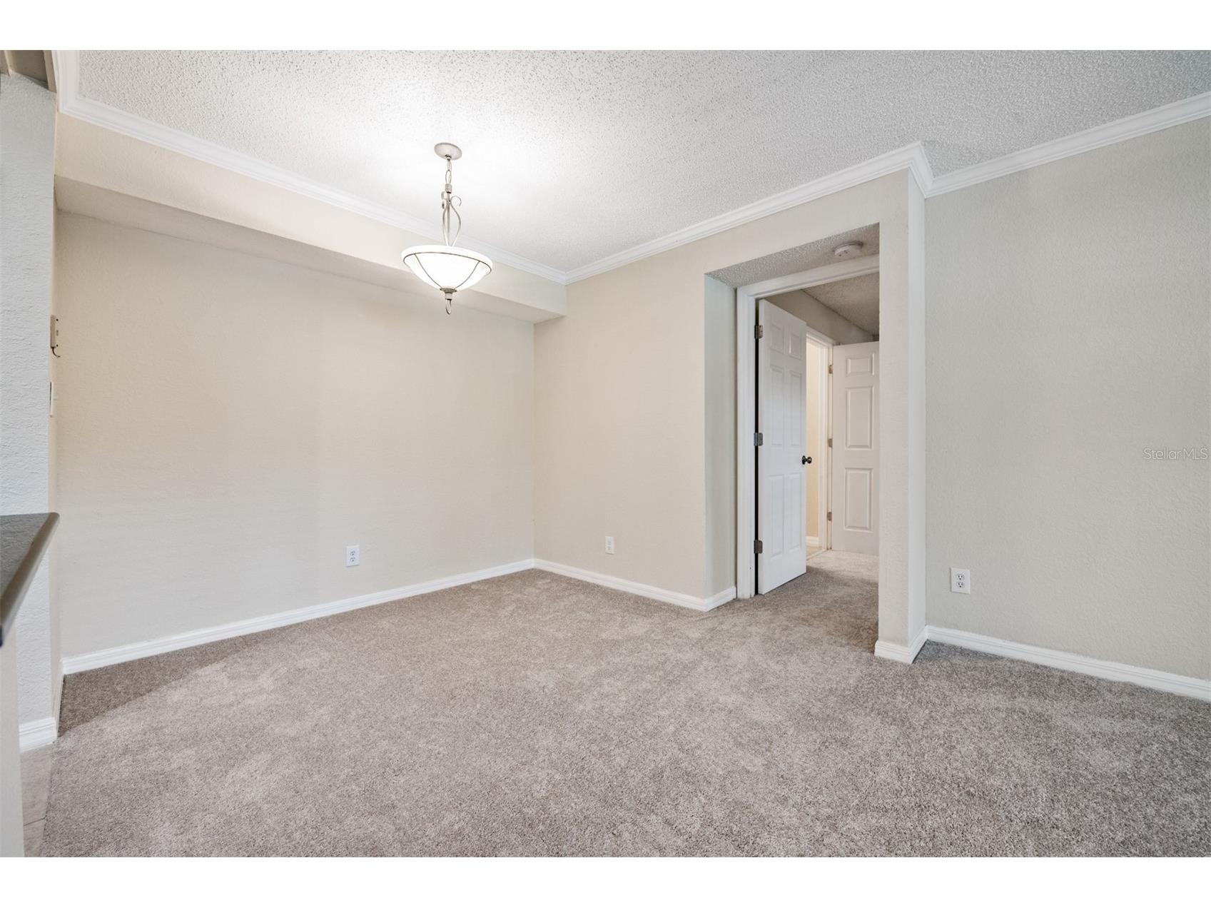 3274 Haviland Court #101 Palm Harbor FL 34684 TB8471626 image14