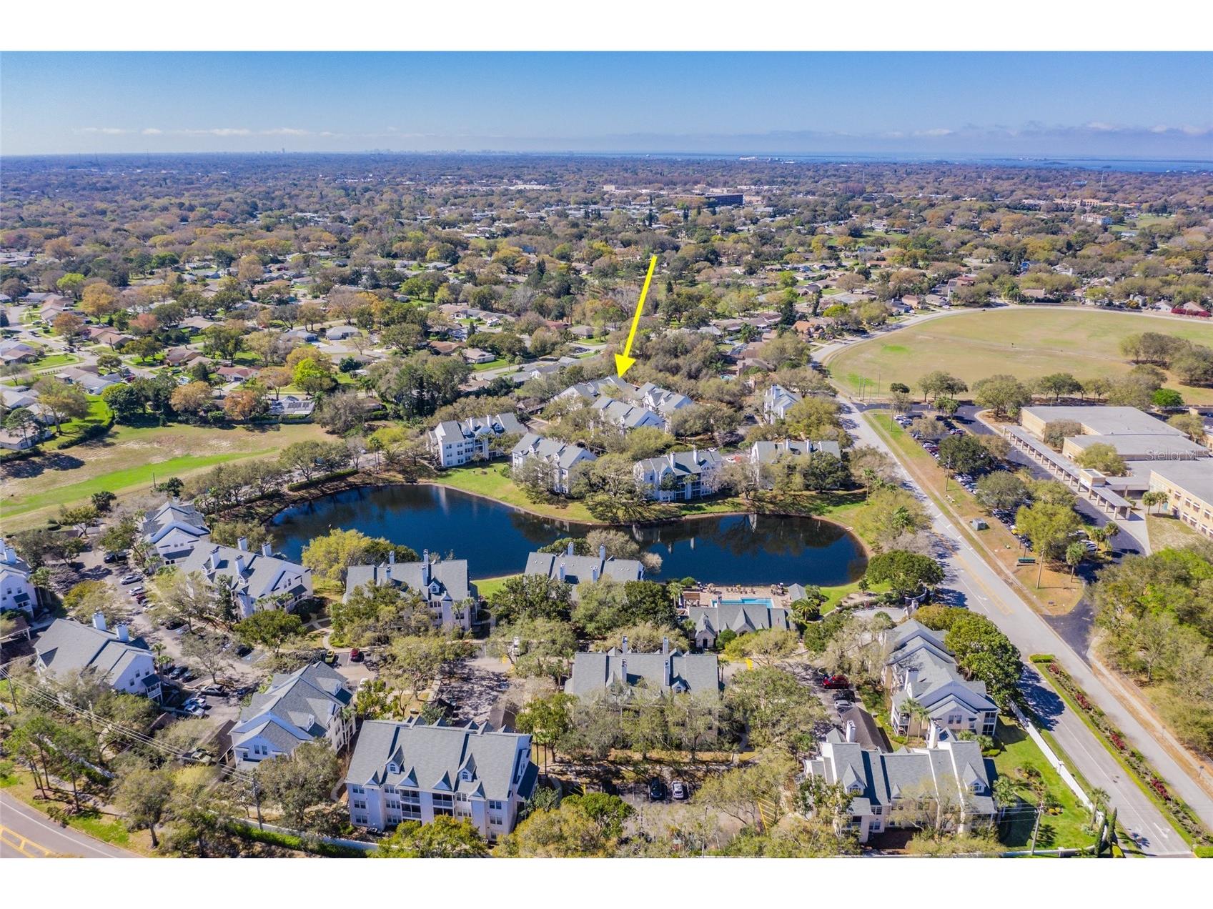 3274 Haviland Court #101 Palm Harbor FL 34684 TB8471626 image2