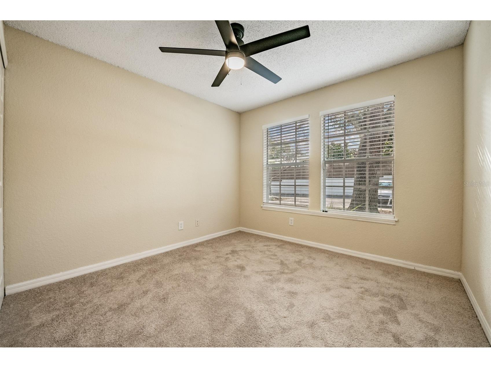 3274 Haviland Court #101 Palm Harbor FL 34684 TB8471626 image22