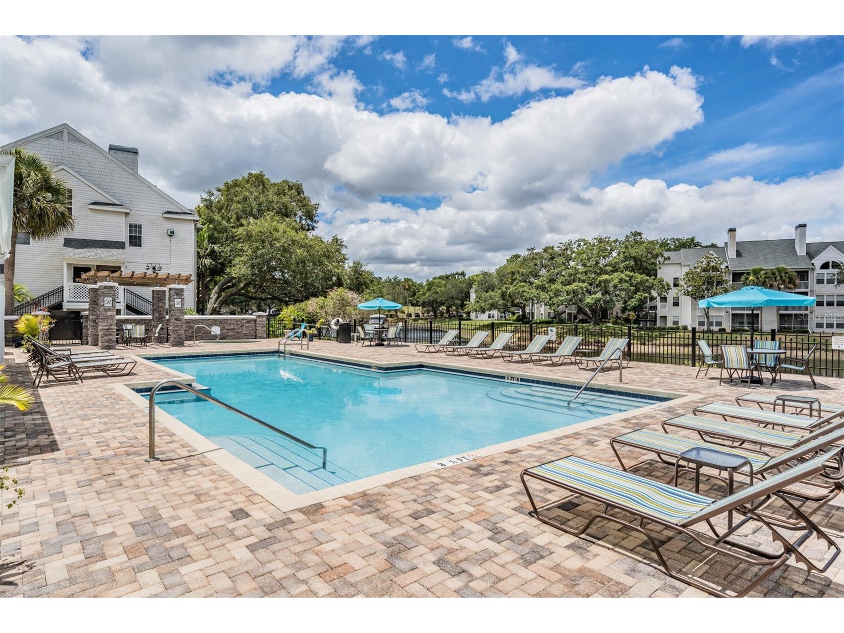 3274 Haviland Court #101 Palm Harbor FL 34684 TB8471626 image38