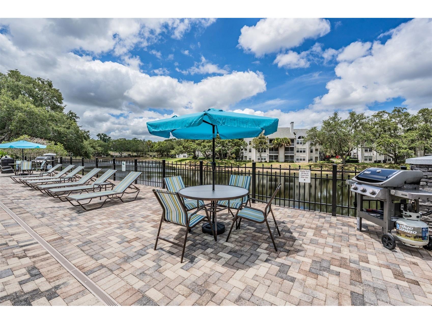 3274 Haviland Court #101 Palm Harbor FL 34684 TB8471626 image39