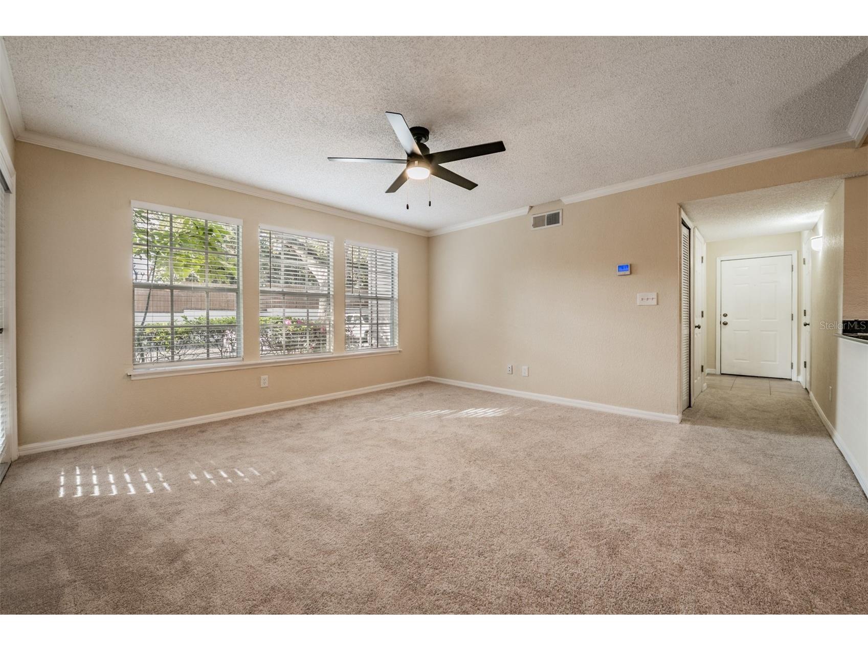3274 Haviland Court #101 Palm Harbor FL 34684 TB8471626 image4