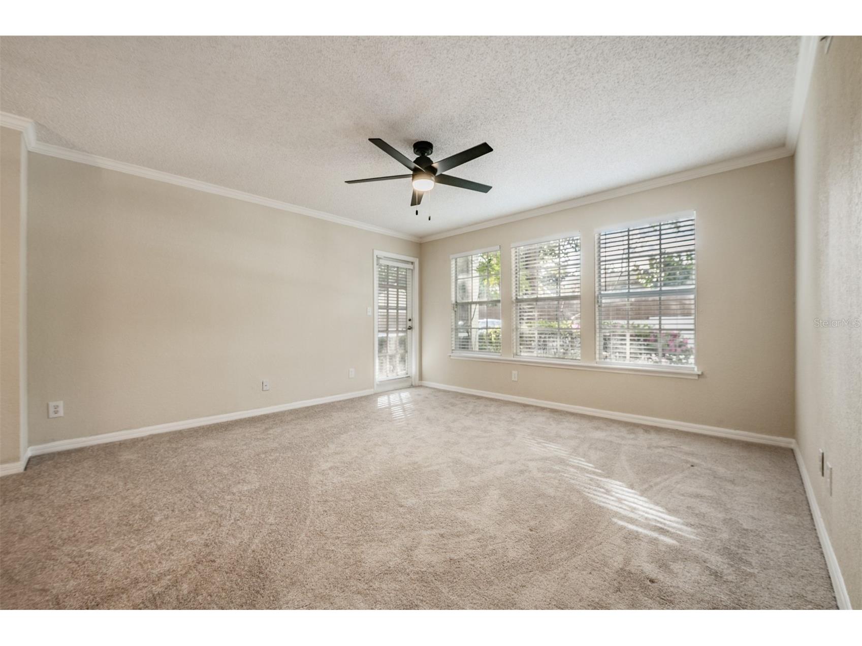 3274 Haviland Court #101 Palm Harbor FL 34684 TB8471626 image5