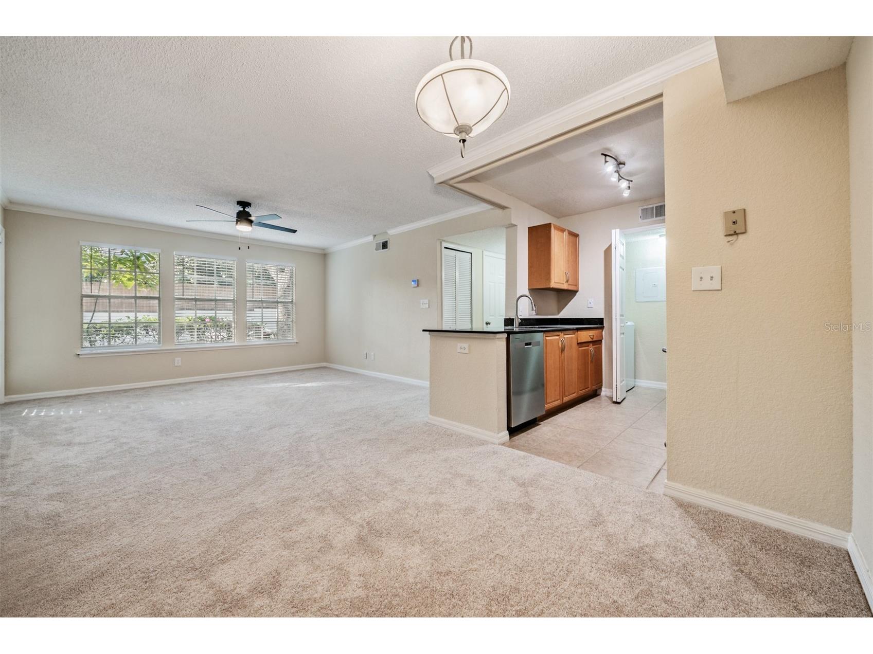 3274 Haviland Court #101 Palm Harbor FL 34684 TB8471626 image6