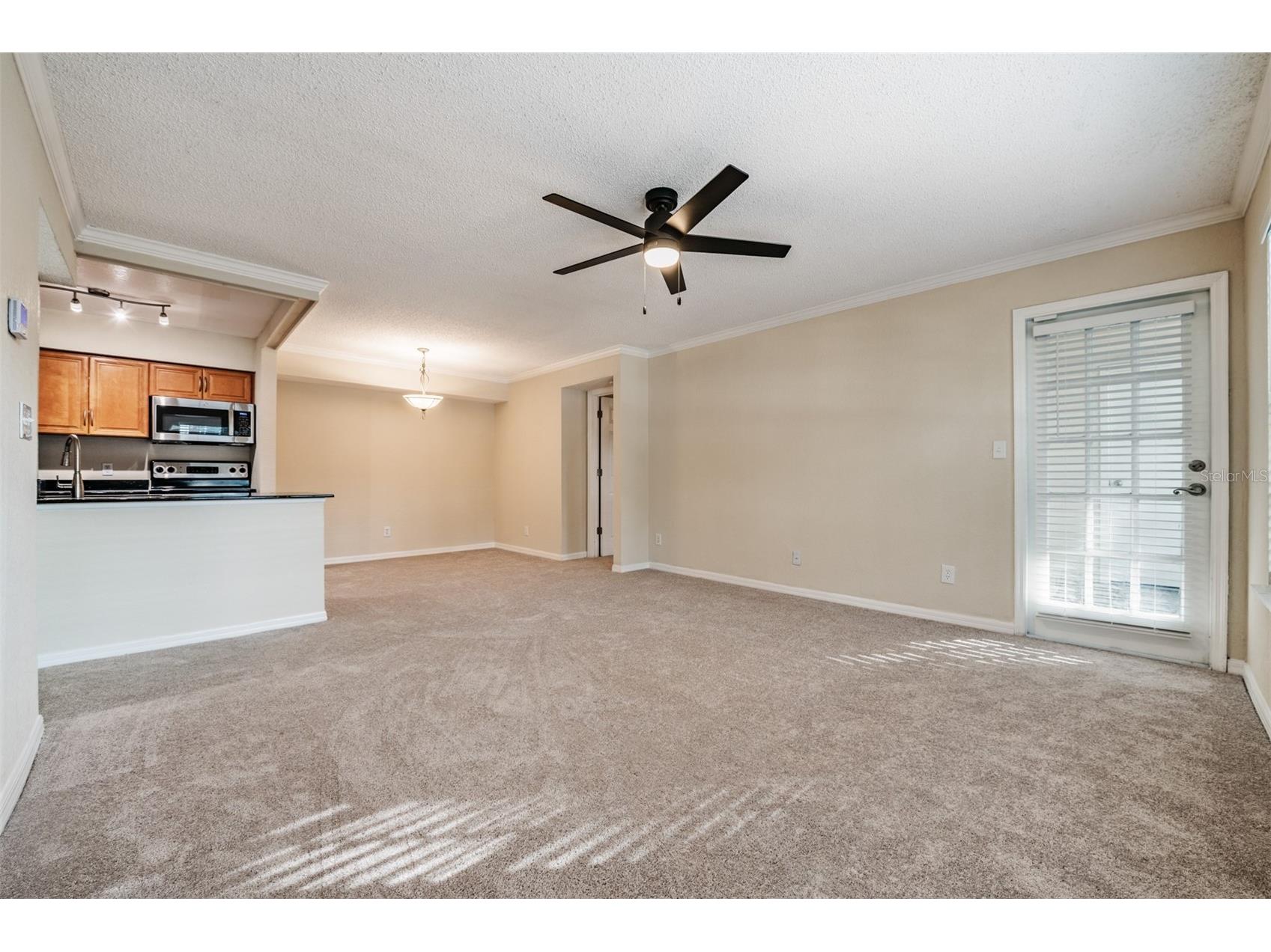 3274 Haviland Court #101 Palm Harbor FL 34684 TB8471626 image7