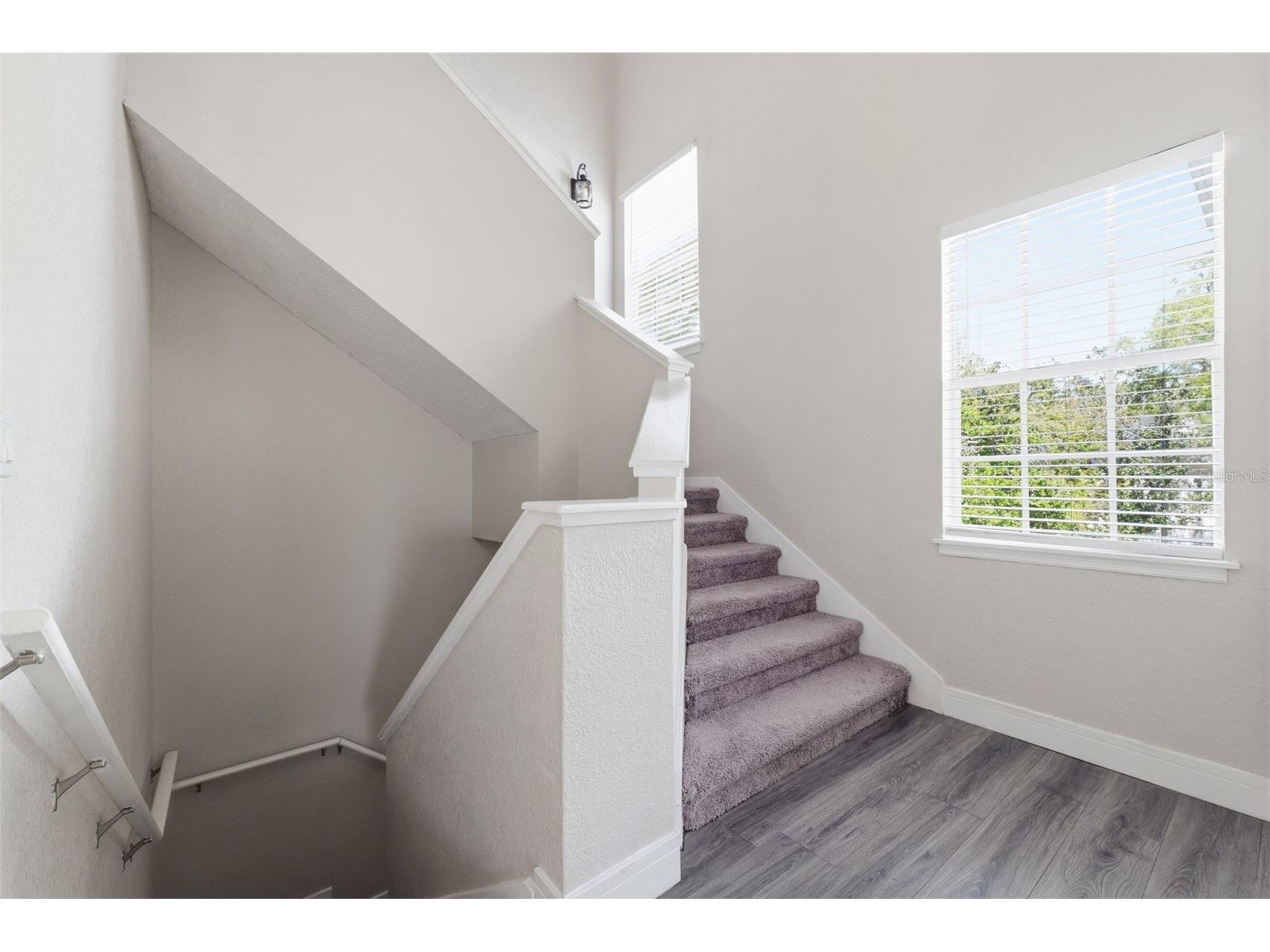 3274 Haviland Court #204 Palm Harbor FL 34684 TB8483836 image28