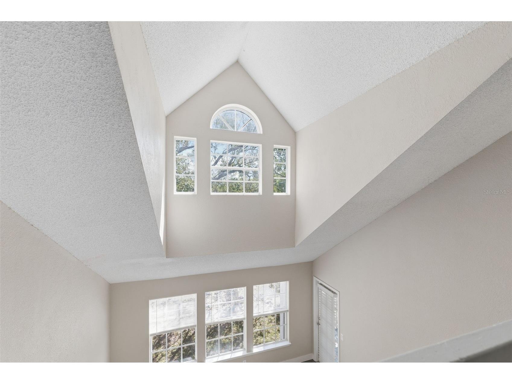 3274 Haviland Court #204 Palm Harbor FL 34684 TB8483836 image31