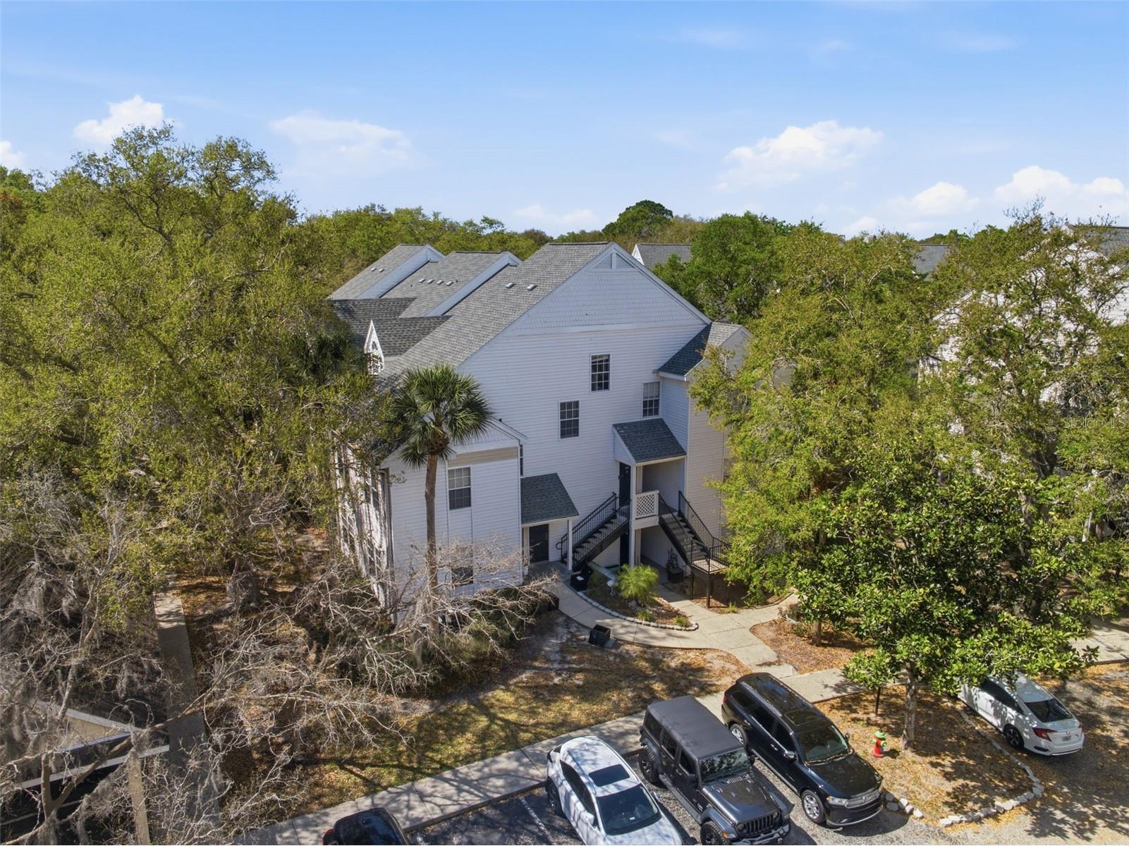 3274 Haviland Court #204 Palm Harbor FL 34684 TB8483836 image35