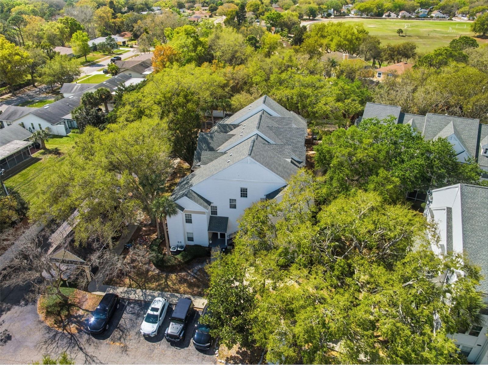 3274 Haviland Court #204 Palm Harbor FL 34684 TB8483836 image36