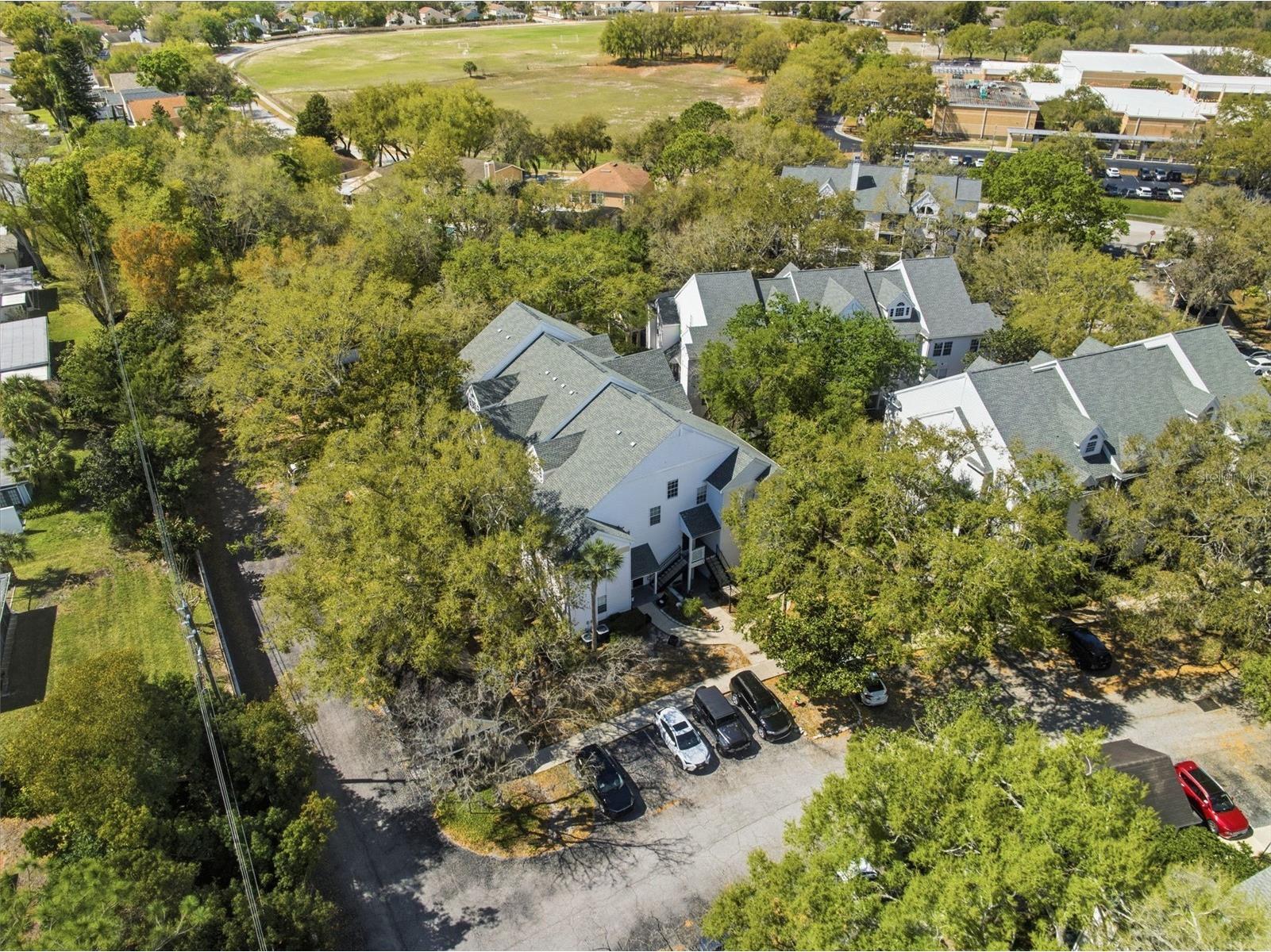 3274 Haviland Court #204 Palm Harbor FL 34684 TB8483836 image37