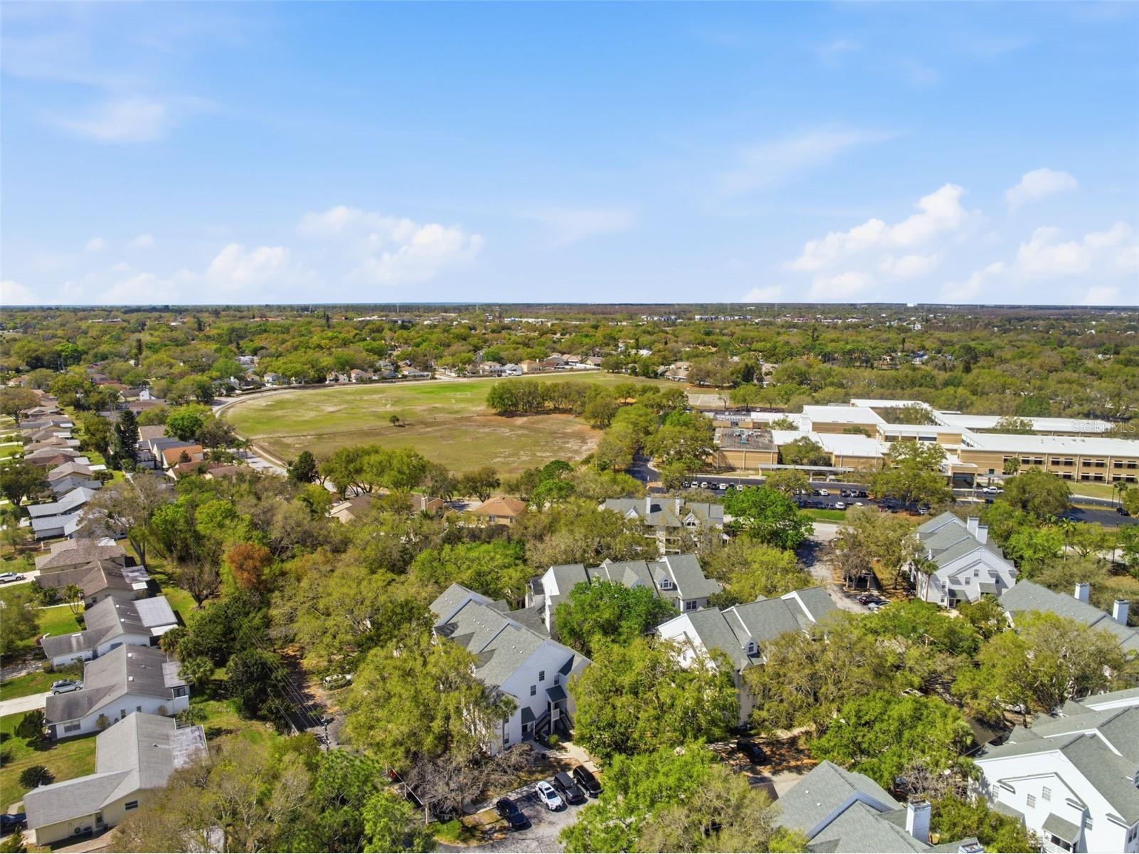 3274 Haviland Court #204 Palm Harbor FL 34684 TB8483836 image38