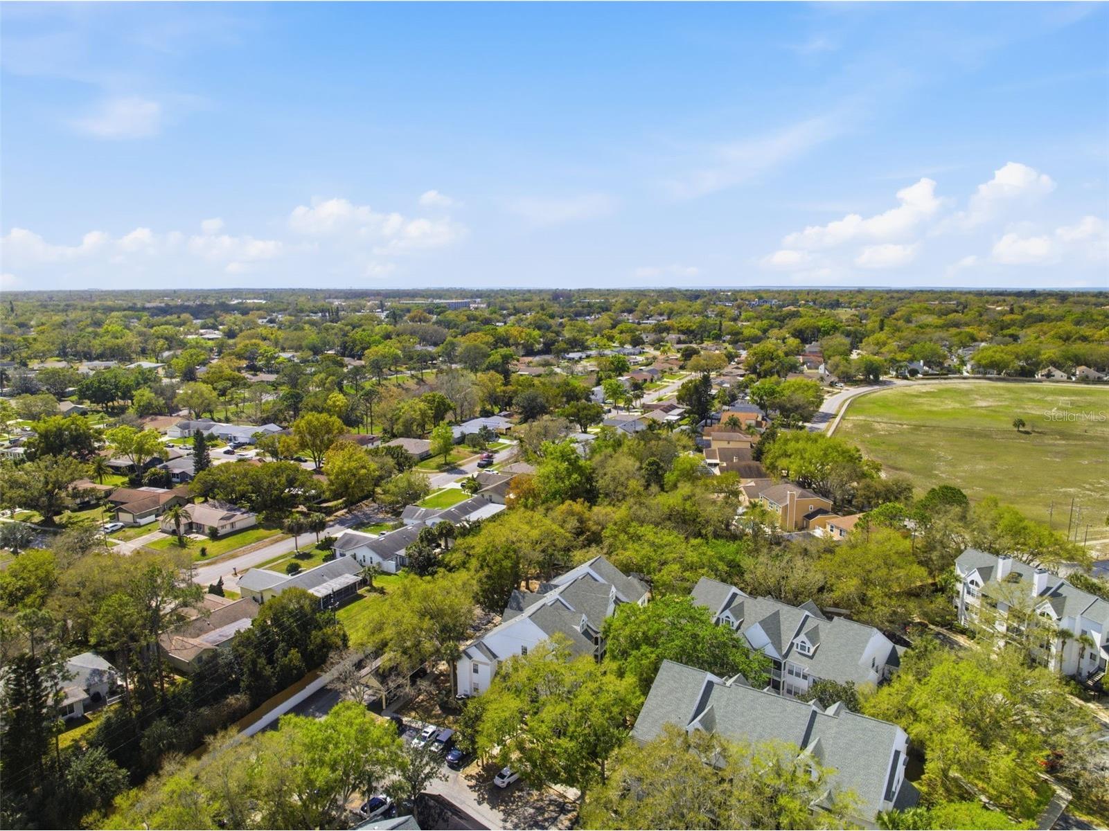 3274 Haviland Court #204 Palm Harbor FL 34684 TB8483836 image39