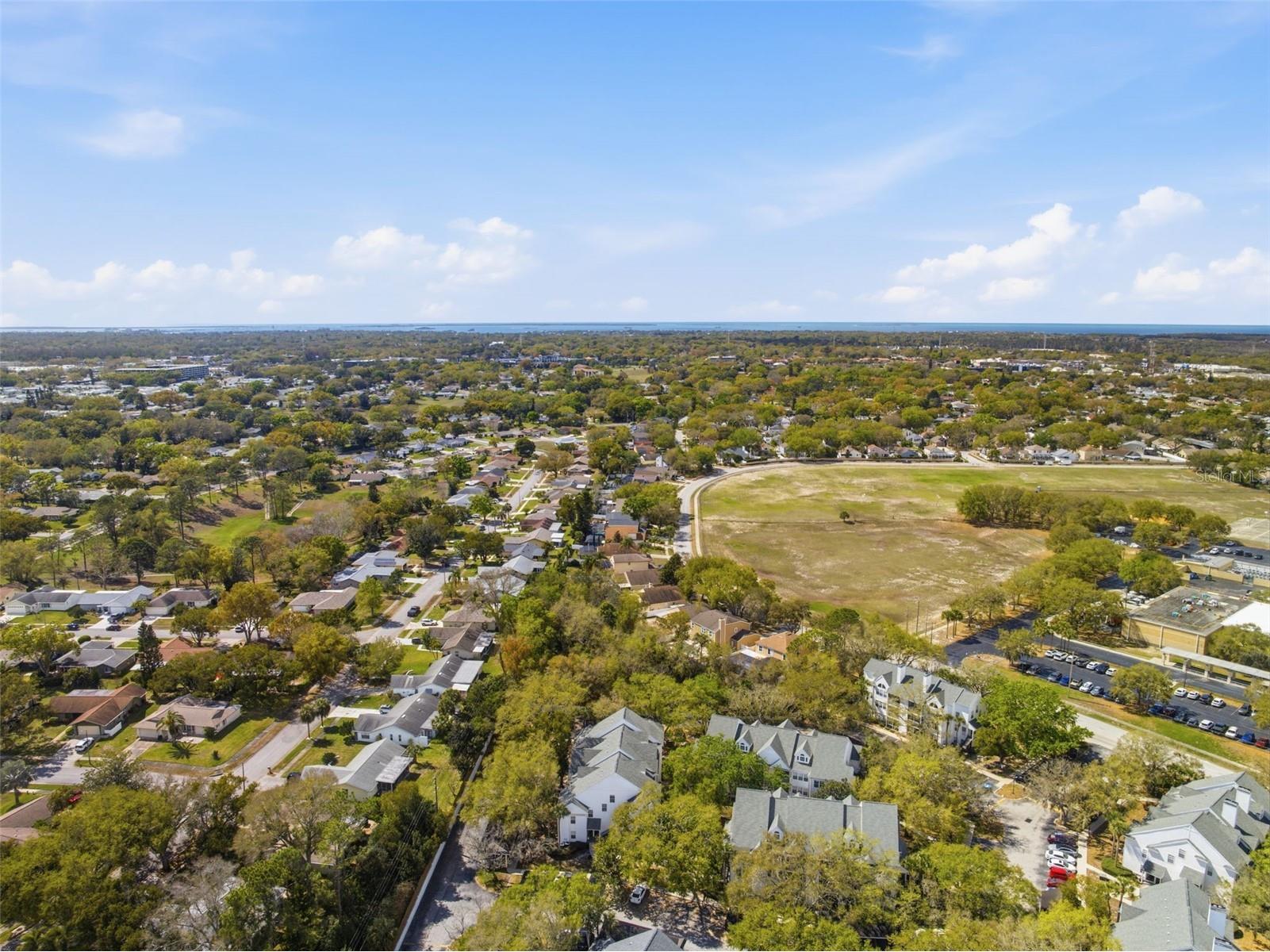 3274 Haviland Court #204 Palm Harbor FL 34684 TB8483836 image40