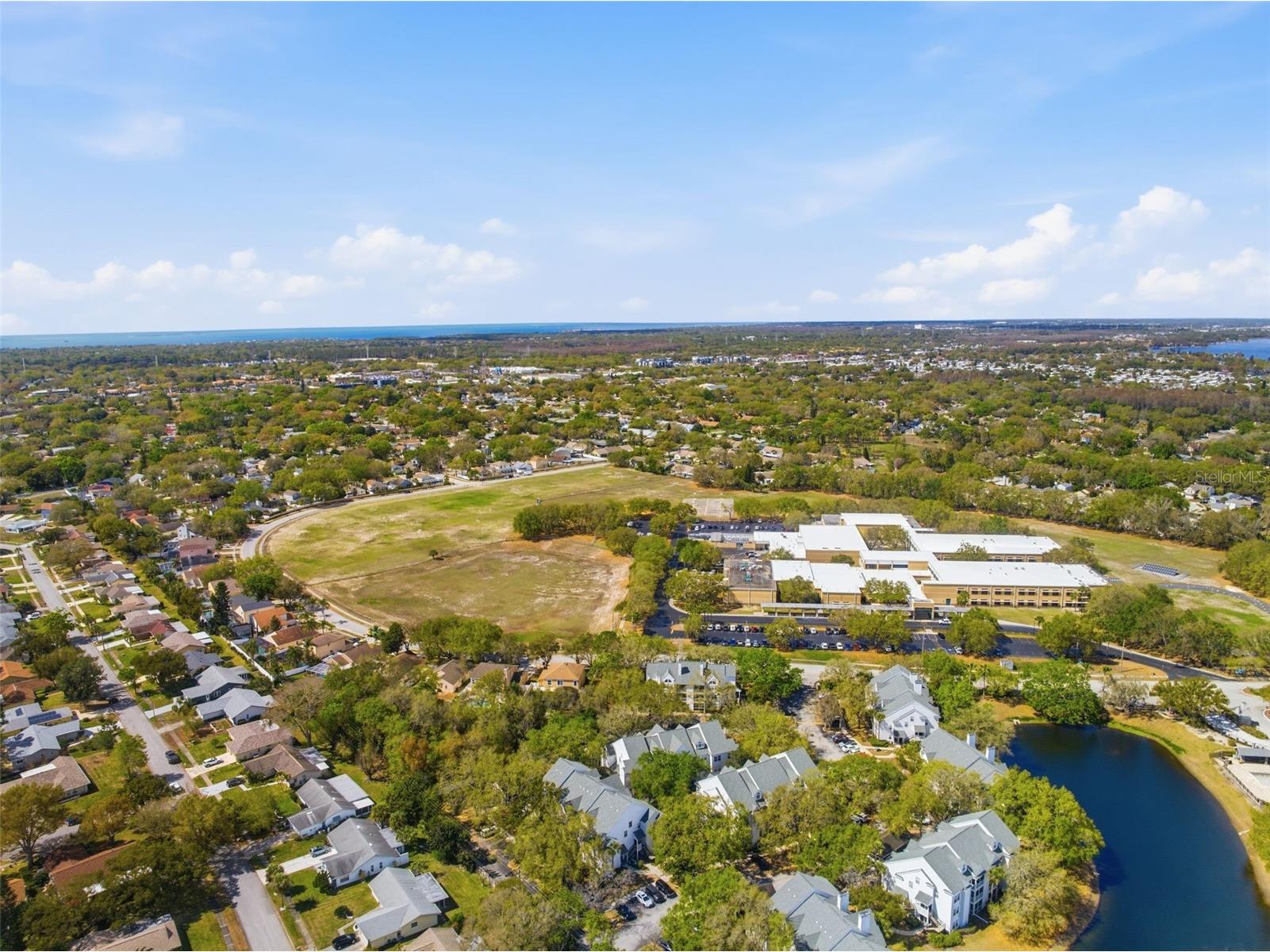 3274 Haviland Court #204 Palm Harbor FL 34684 TB8483836 image41