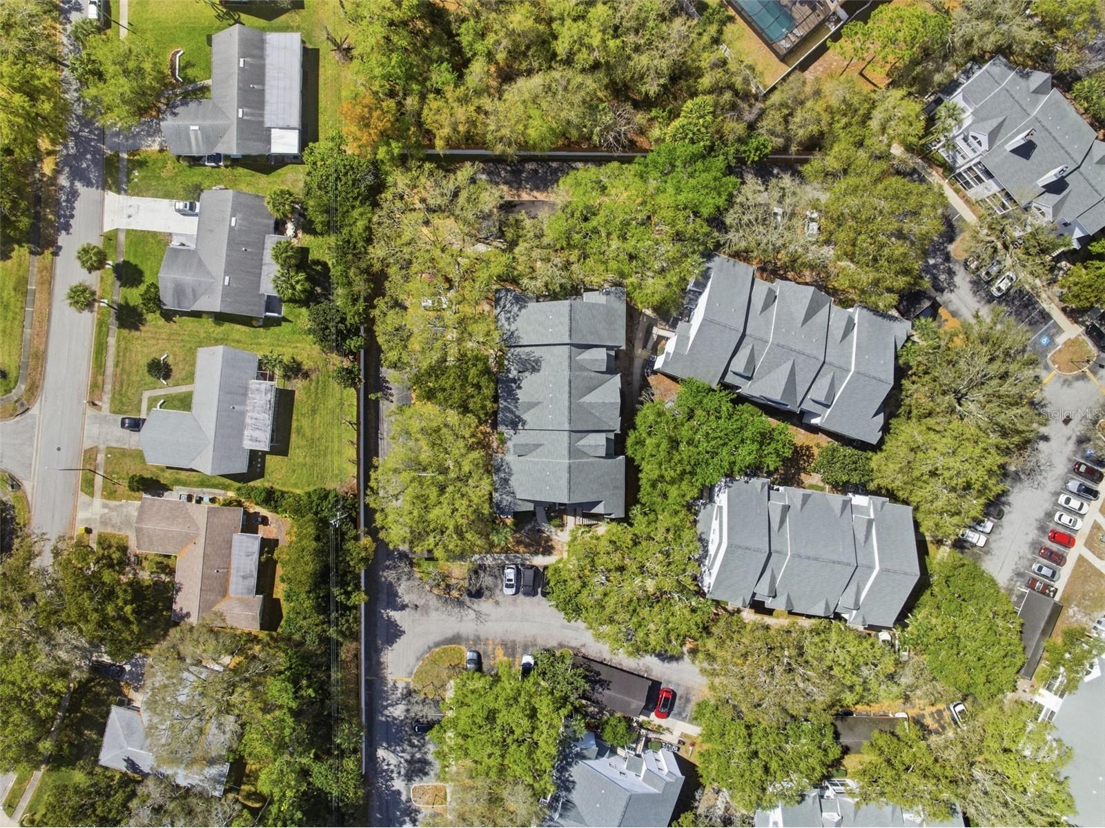 3274 Haviland Court #204 Palm Harbor FL 34684 TB8483836 image42