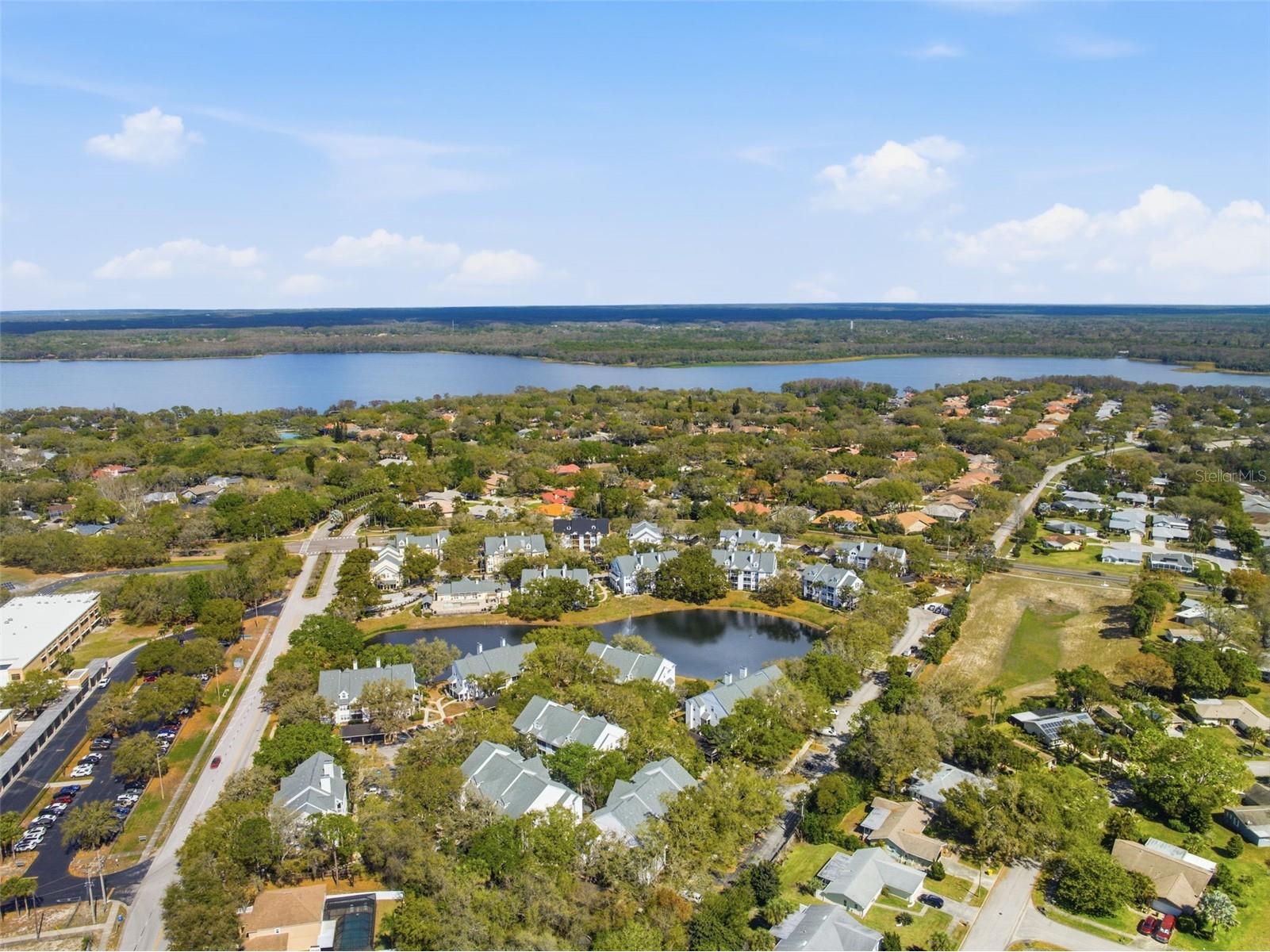 3274 Haviland Court #204 Palm Harbor FL 34684 TB8483836 image43