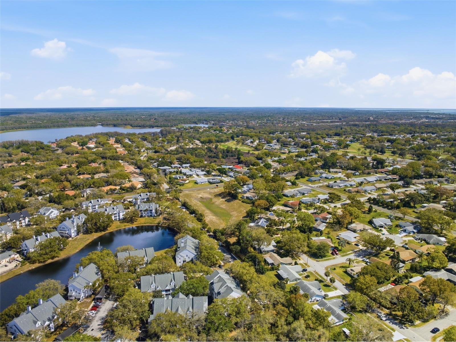 3274 Haviland Court #204 Palm Harbor FL 34684 TB8483836 image44