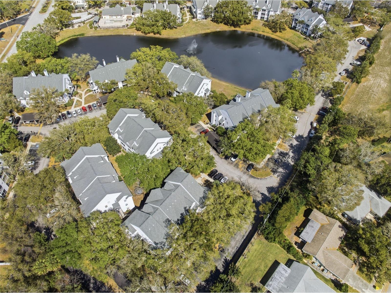 3274 Haviland Court #204 Palm Harbor FL 34684 TB8483836 image45