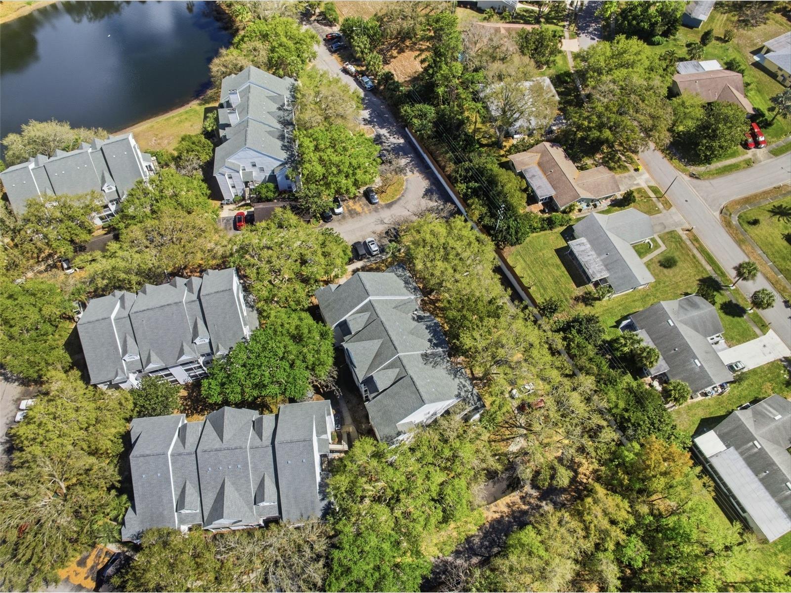 3274 Haviland Court #204 Palm Harbor FL 34684 TB8483836 image46