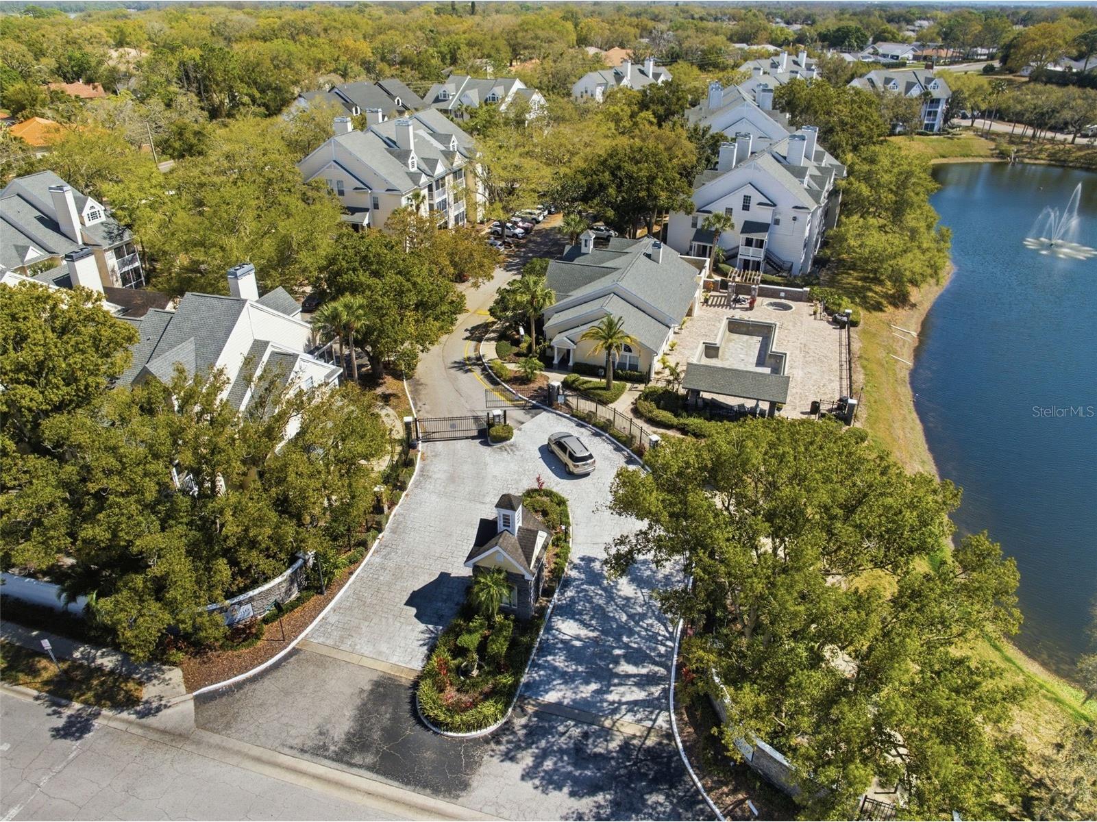 3274 Haviland Court #204 Palm Harbor FL 34684 TB8483836 image47