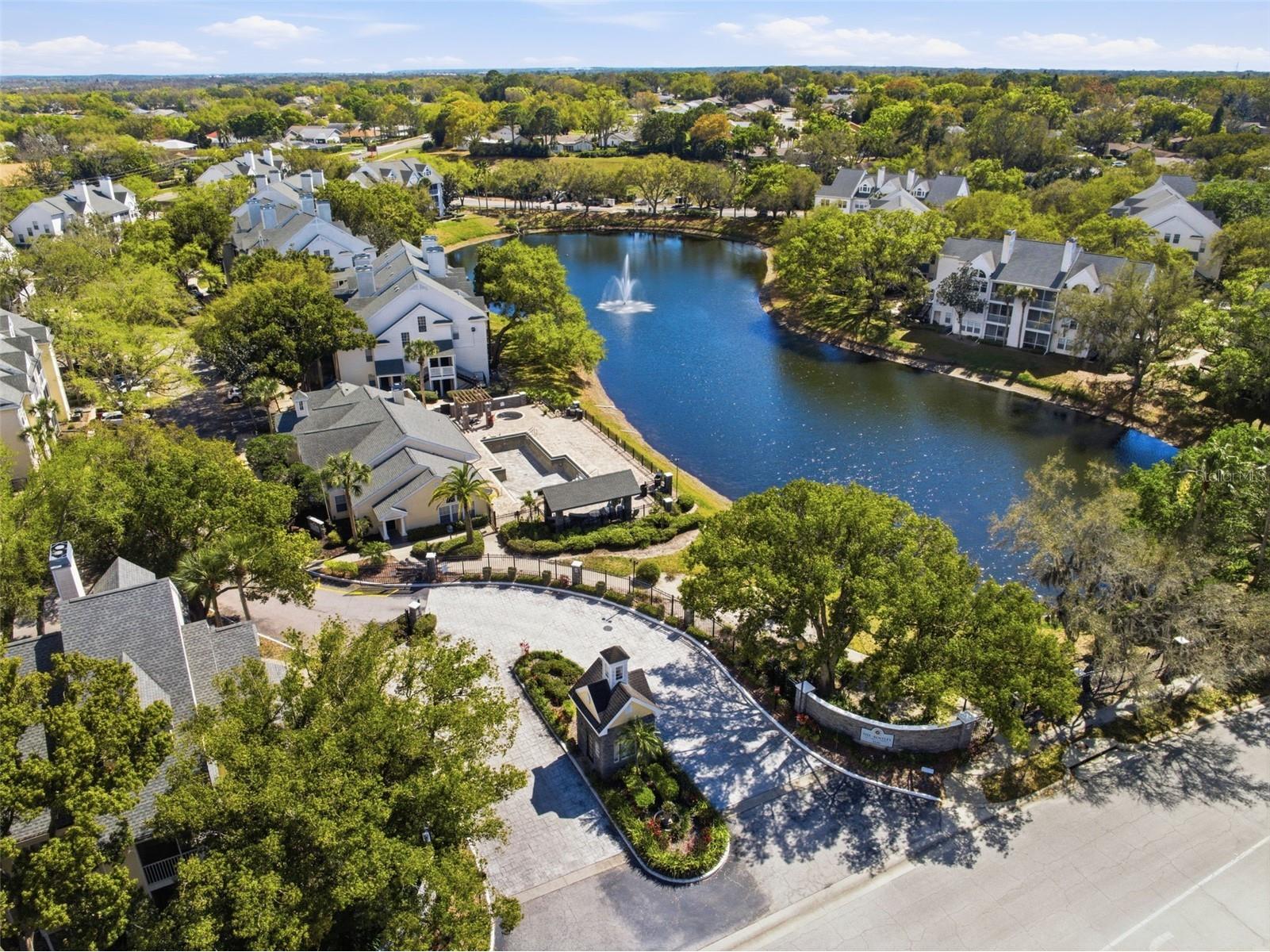 3274 Haviland Court #204 Palm Harbor FL 34684 TB8483836 image48