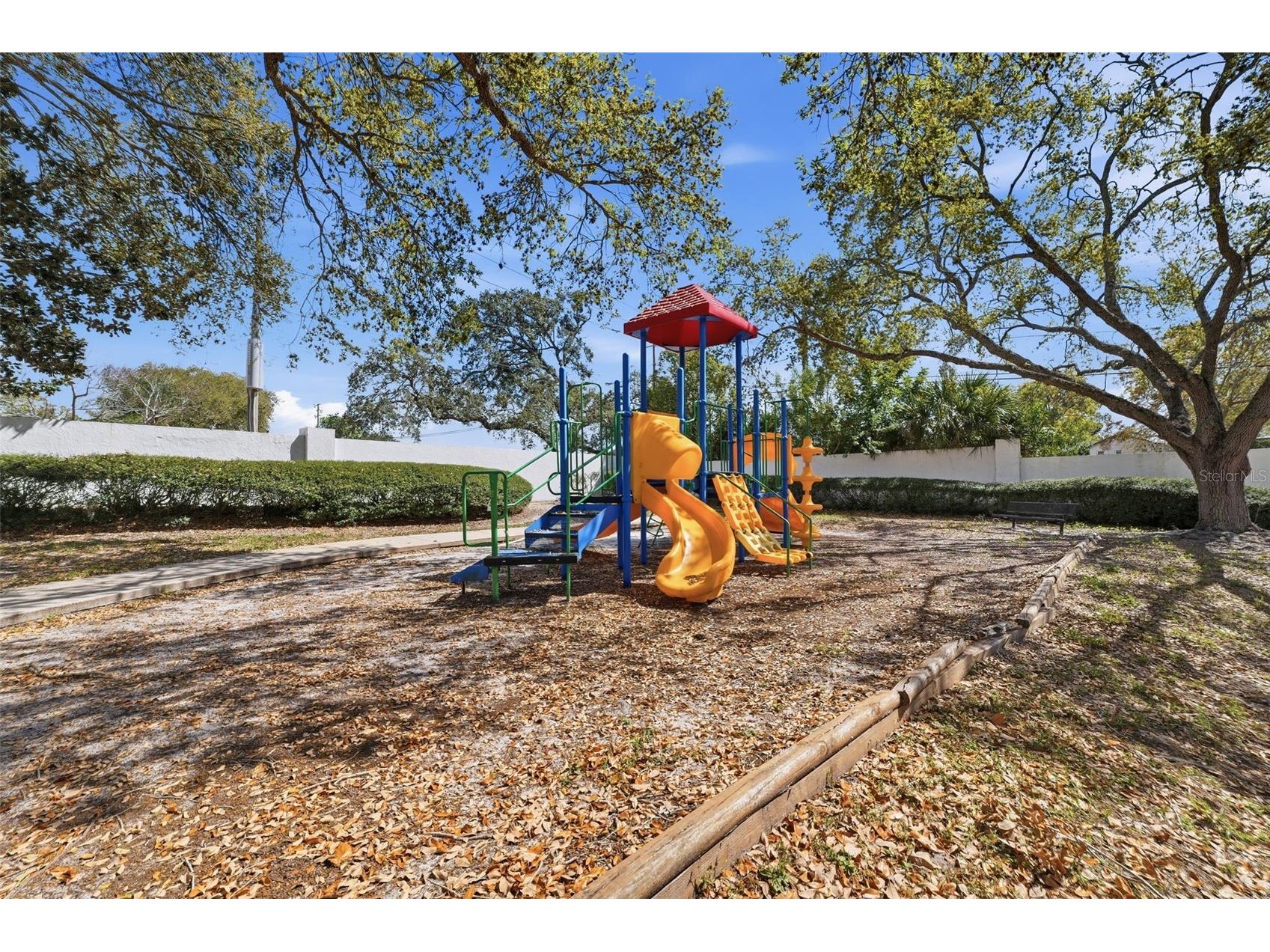 3274 Haviland Court #204 Palm Harbor FL 34684 TB8483836 image53