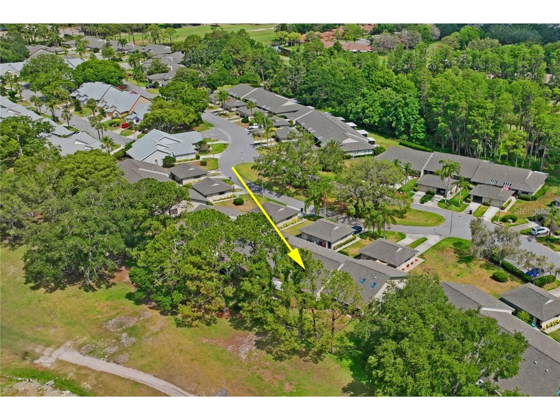 3274 Lori Lane #2 New Port Richey FL 34655 W7875420 image48