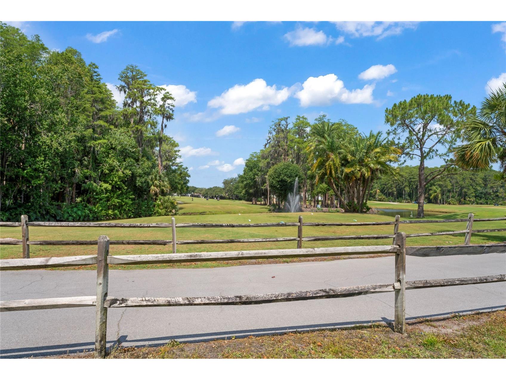 3274 Lori Lane #2 New Port Richey FL 34655 W7875420 image63
