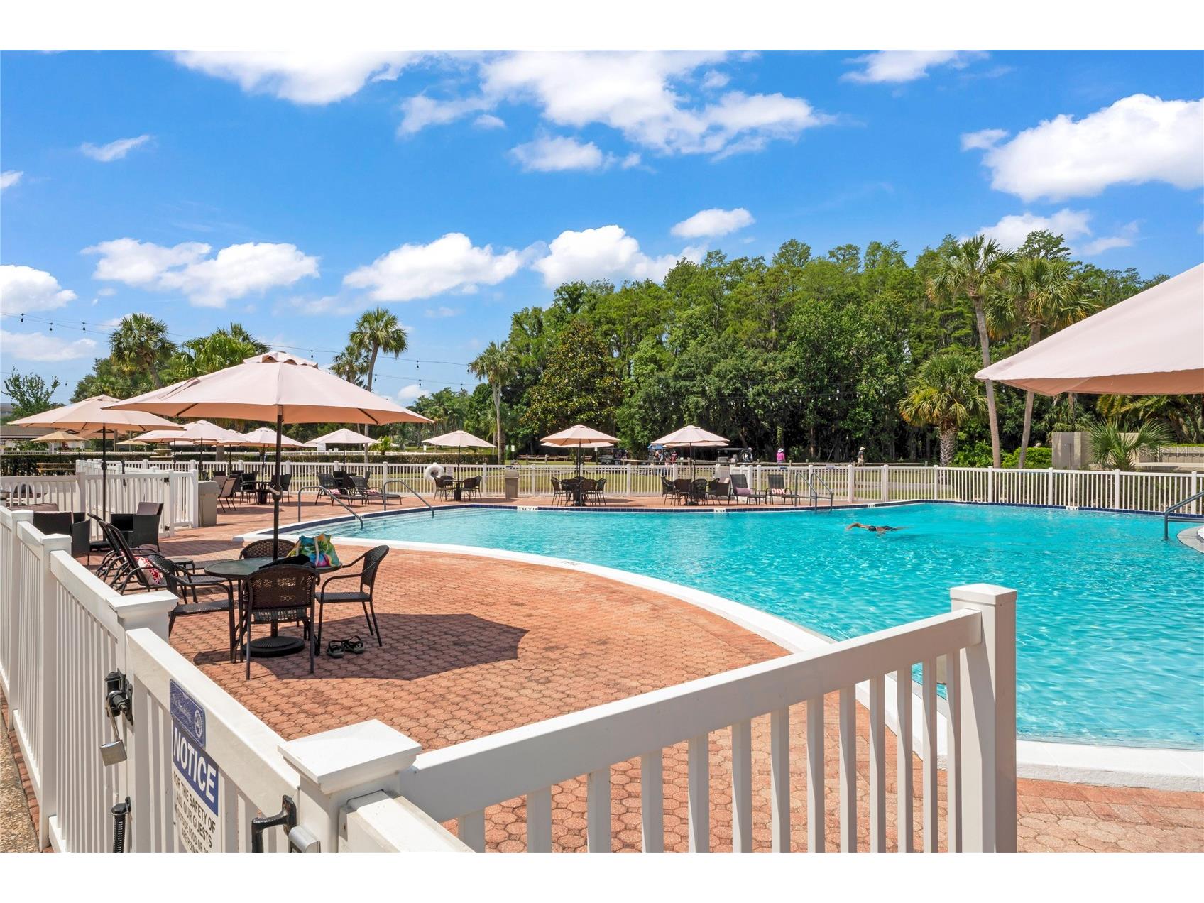 3274 Lori Lane #2 New Port Richey FL 34655 W7875420 image65