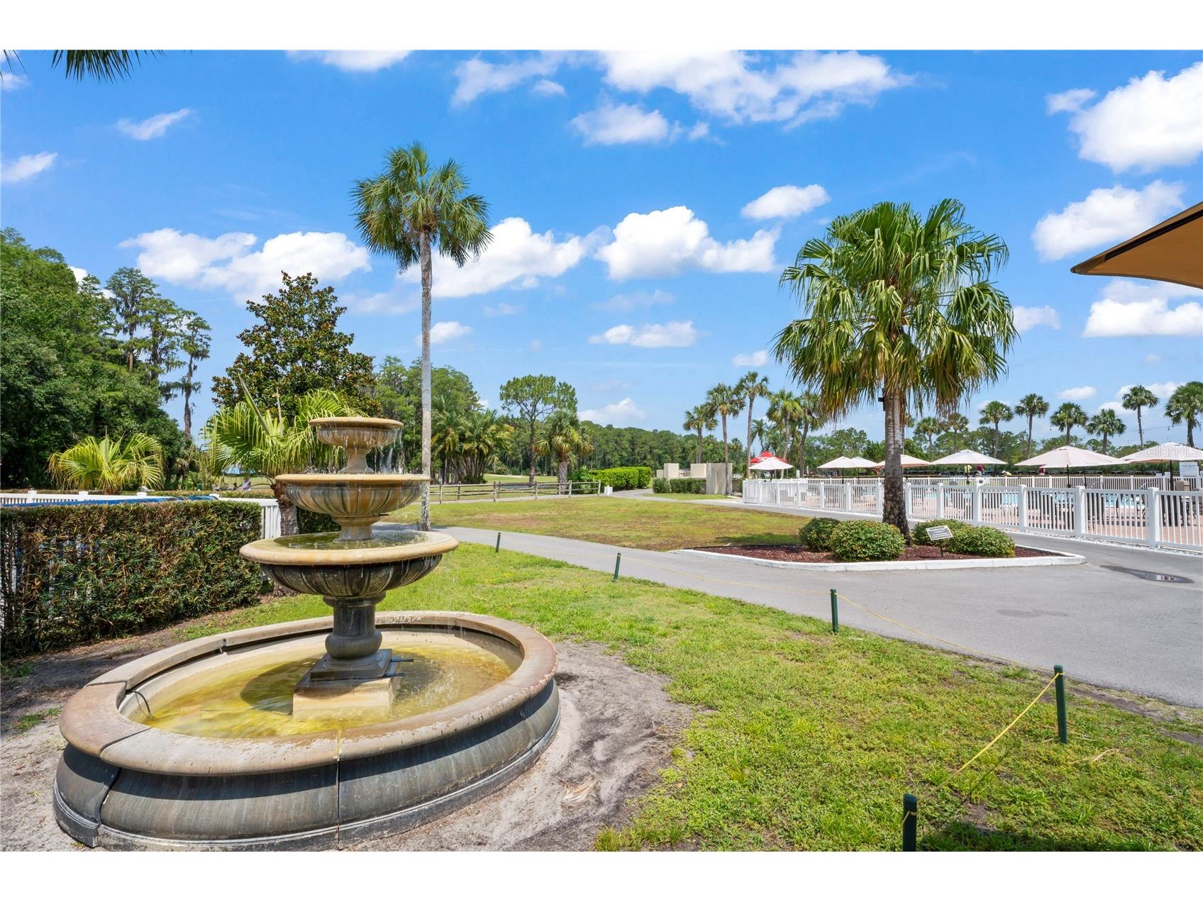 3274 Lori Lane #2 New Port Richey FL 34655 W7875420 image66