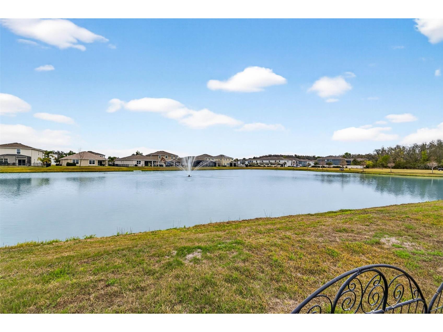 32741 Ansley Bloom Lane Wesley Chapel FL 33543 TB8479077 image46