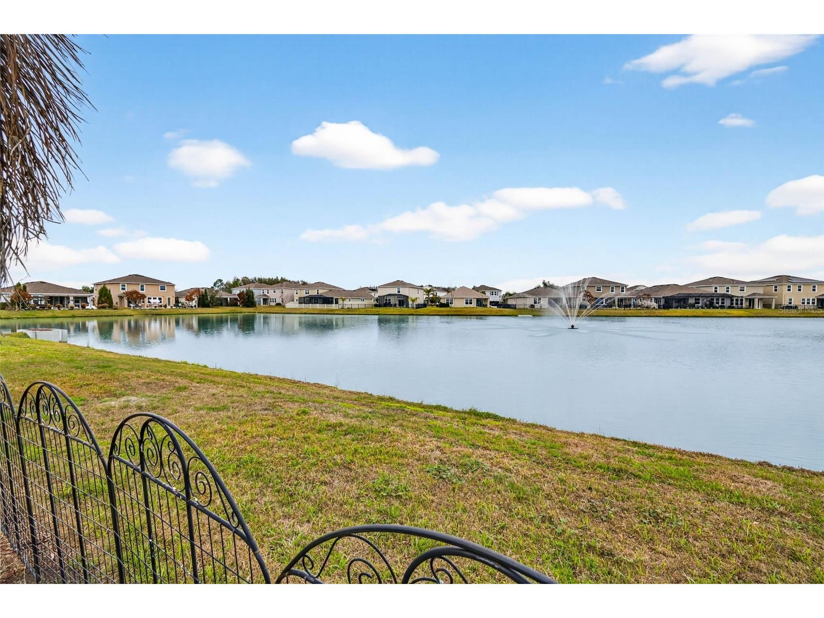 32741 Ansley Bloom Lane Wesley Chapel FL 33543 TB8479077 image48