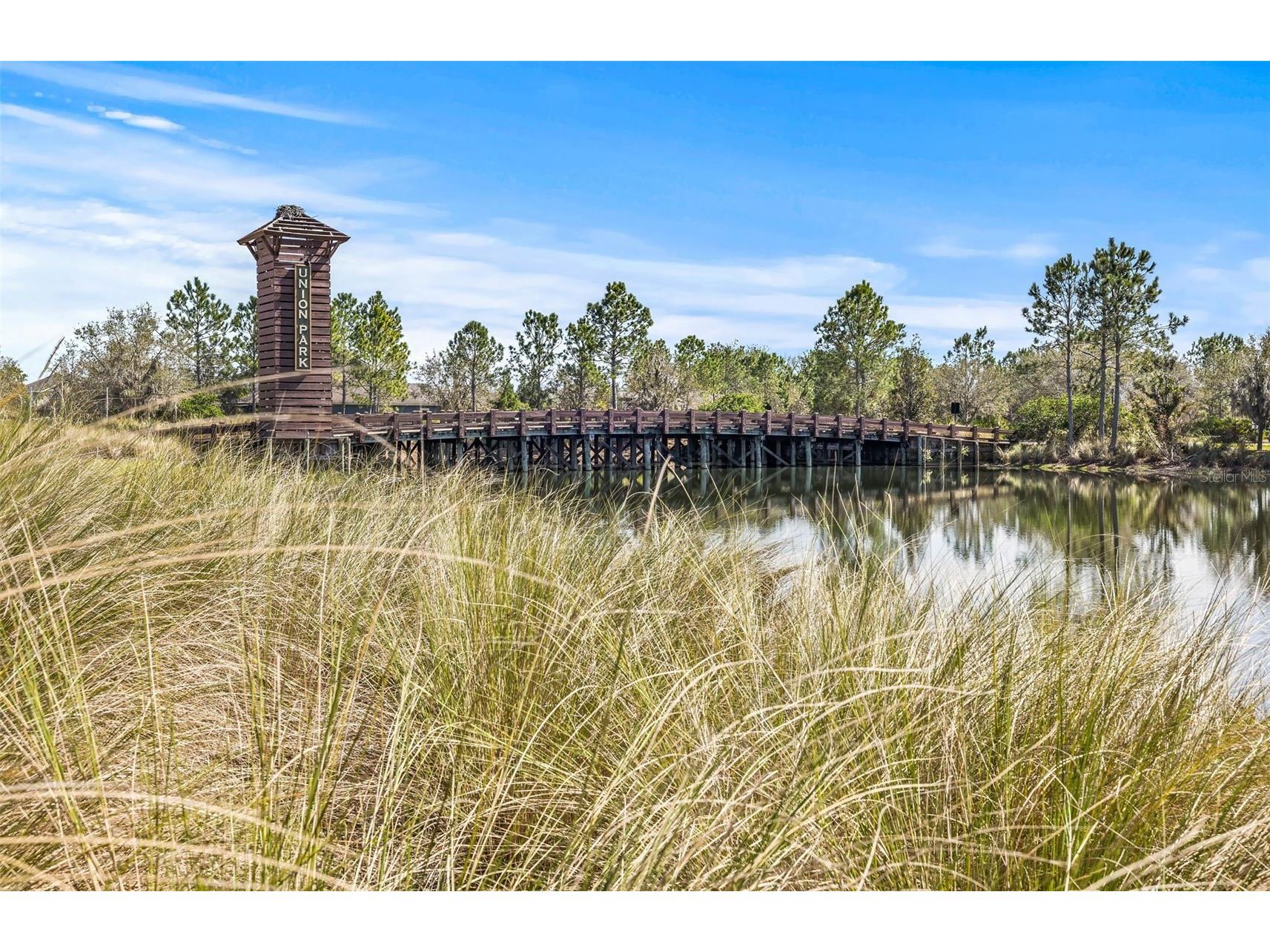32741 Ansley Bloom Lane Wesley Chapel FL 33543 TB8479077 image63