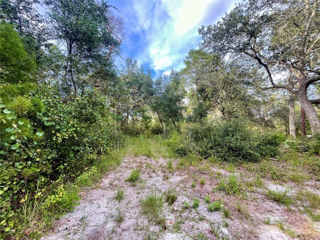 32741 Pine Road Eustis FL 32736 G5102242 image20