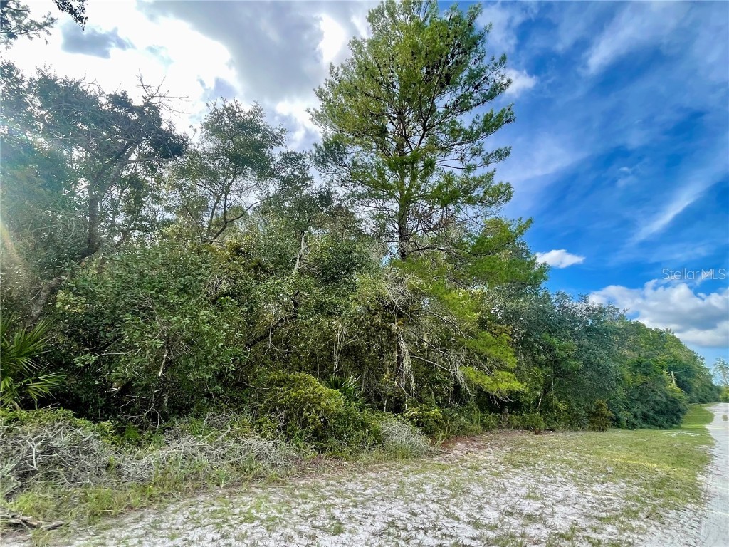 32741 Pine Road Eustis FL 32736 G5102242 image25