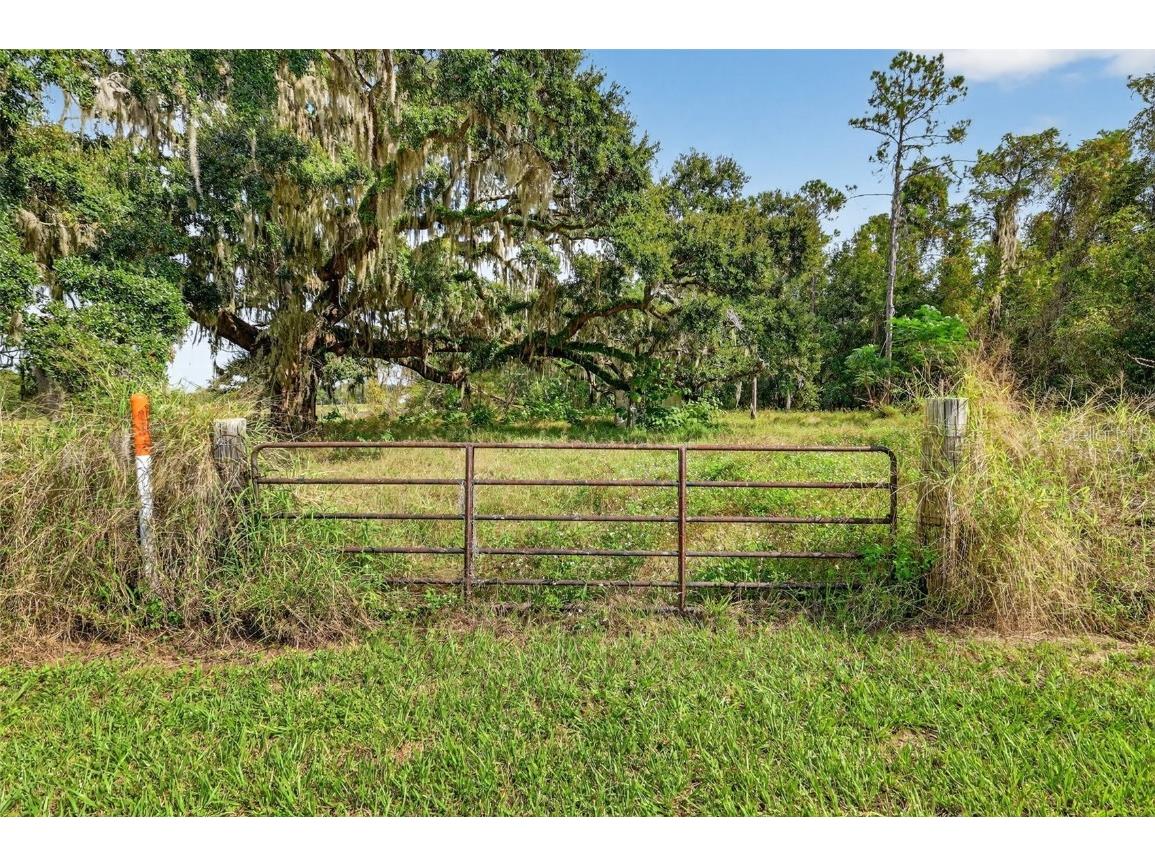 32742 Whitney Road Leesburg FL 34748 O6355896 image7