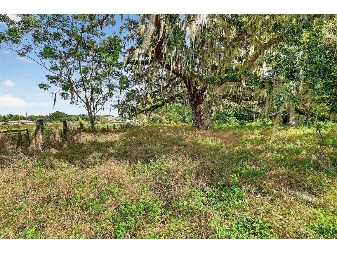 32742 Whitney Road Leesburg FL 34748 O6355896 image8