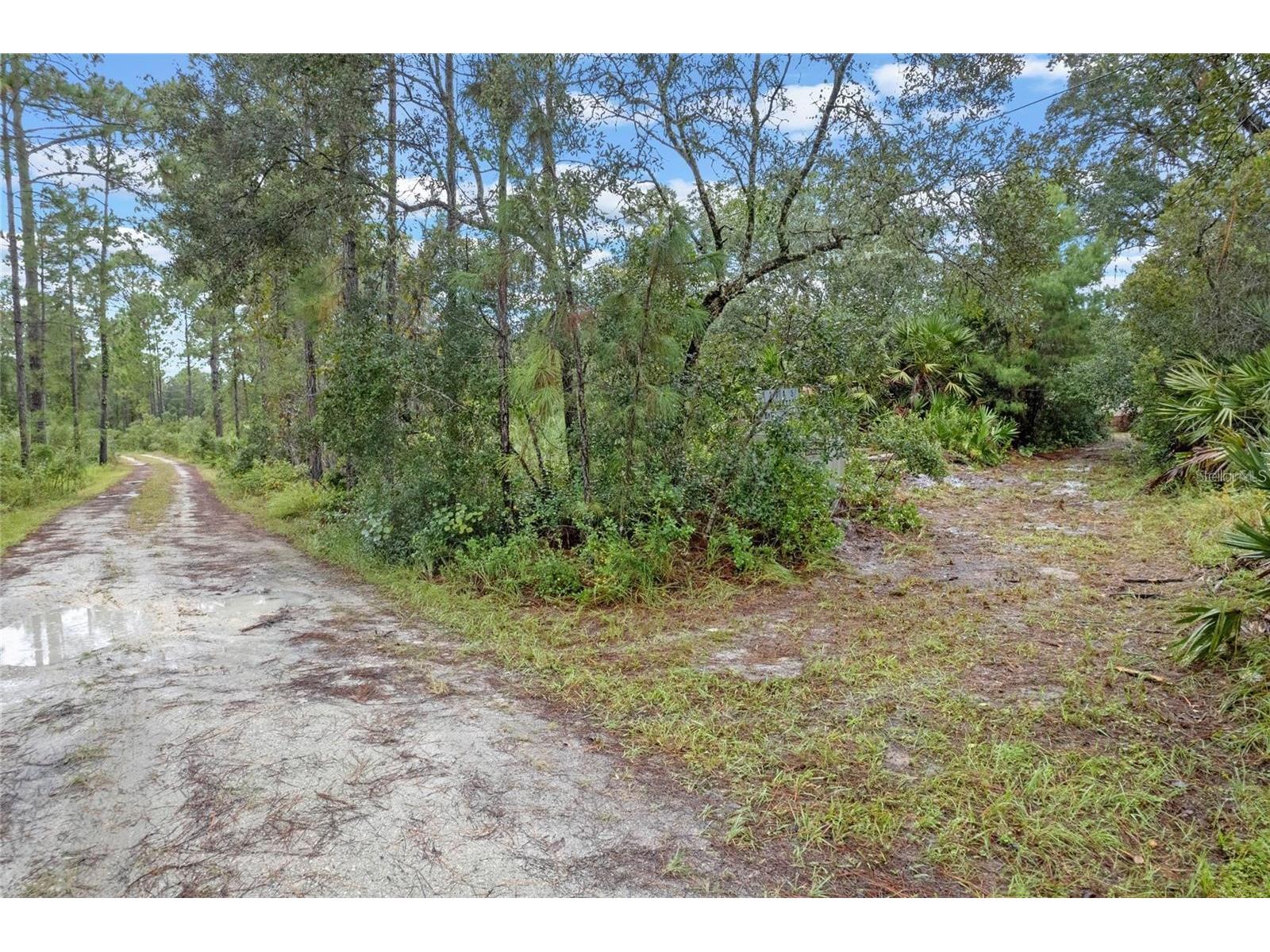 32745 Blackwater Oaks Drive Eustis FL 32736 O6373973 image10