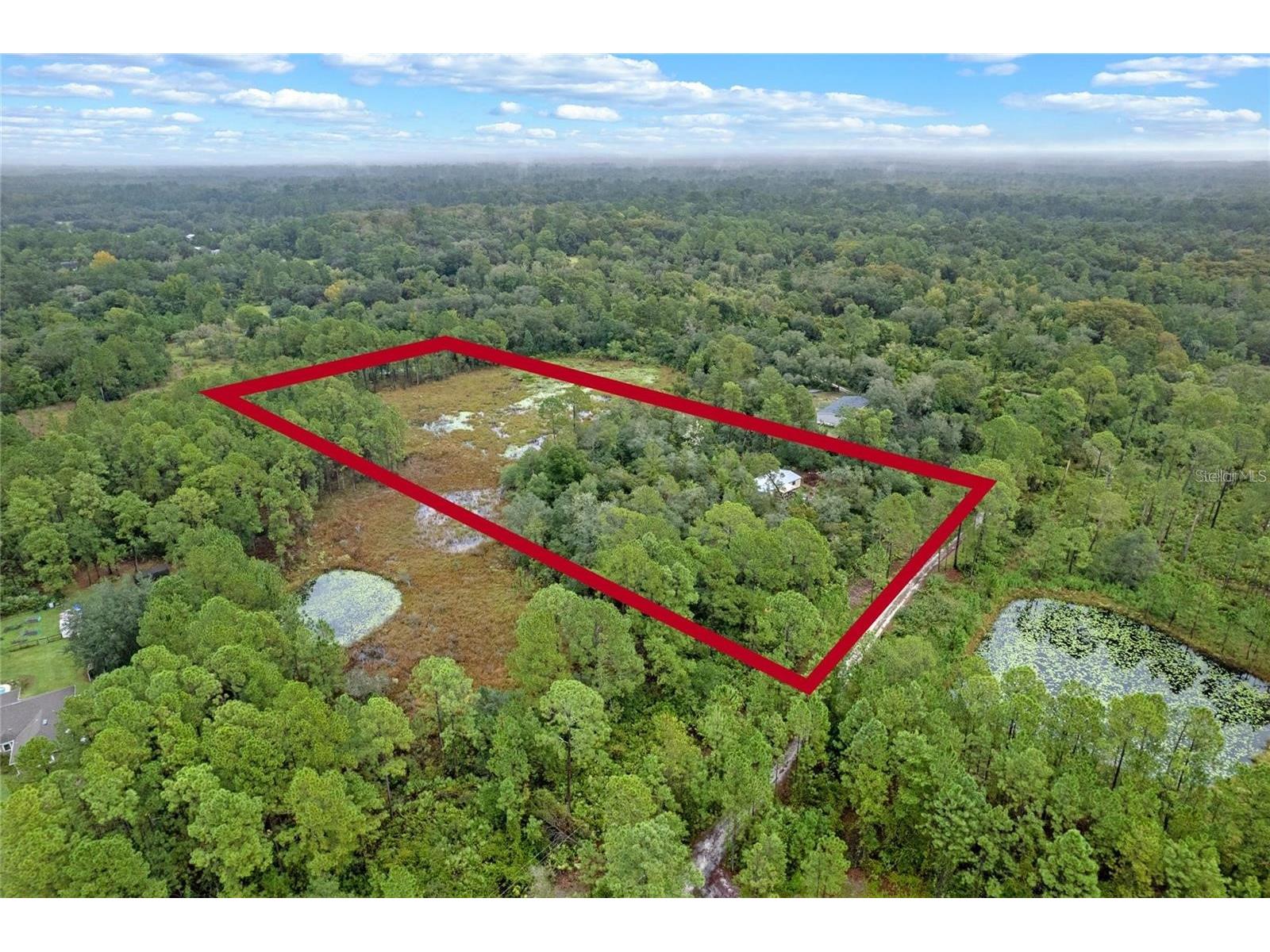 32745 Blackwater Oaks Drive Eustis FL 32736 O6373973 image13