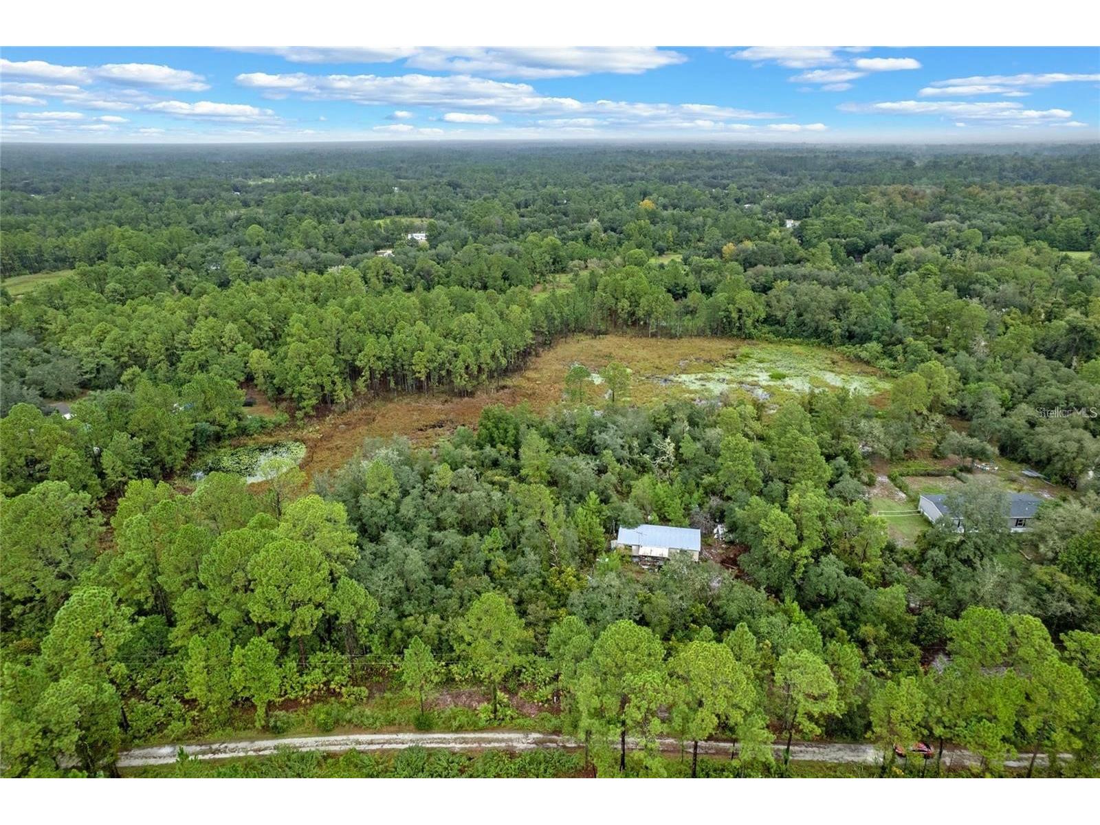 32745 Blackwater Oaks Drive Eustis FL 32736 O6373973 image2