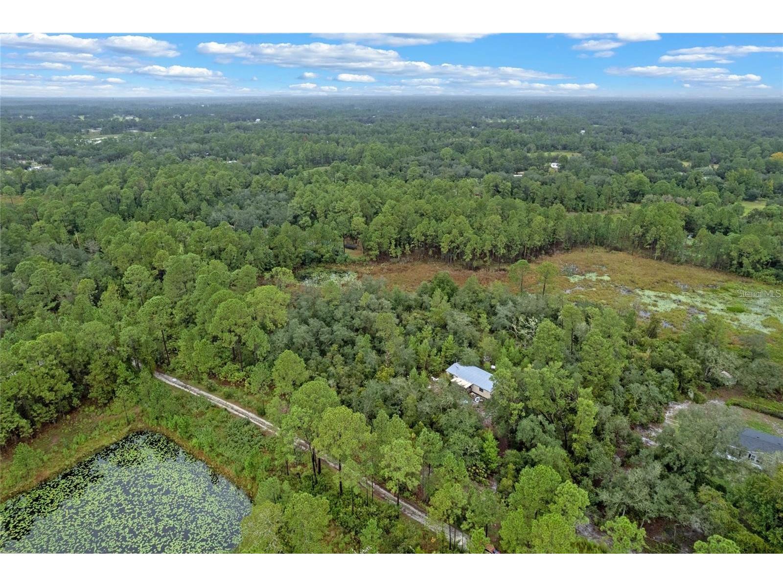 32745 Blackwater Oaks Drive Eustis FL 32736 O6373973 image3