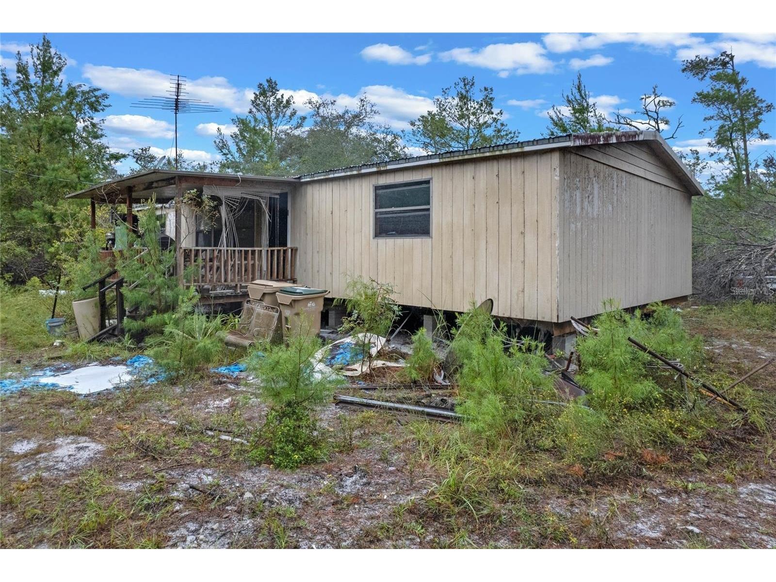 32745 Blackwater Oaks Drive Eustis FL 32736 O6373973 image5