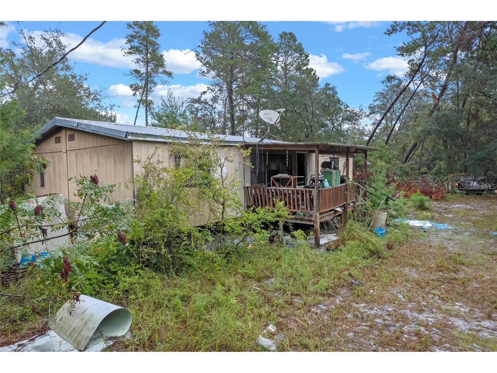 32745 Blackwater Oaks Drive Eustis FL 32736 O6373973 image6