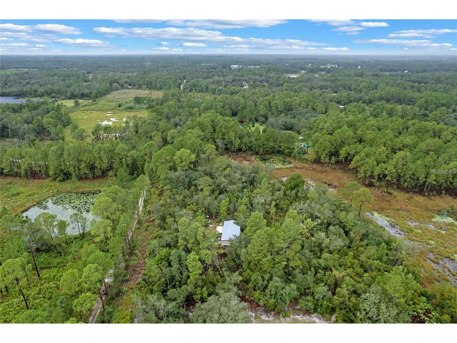 32745 Blackwater Oaks Drive Eustis FL 32736 O6373973 image7