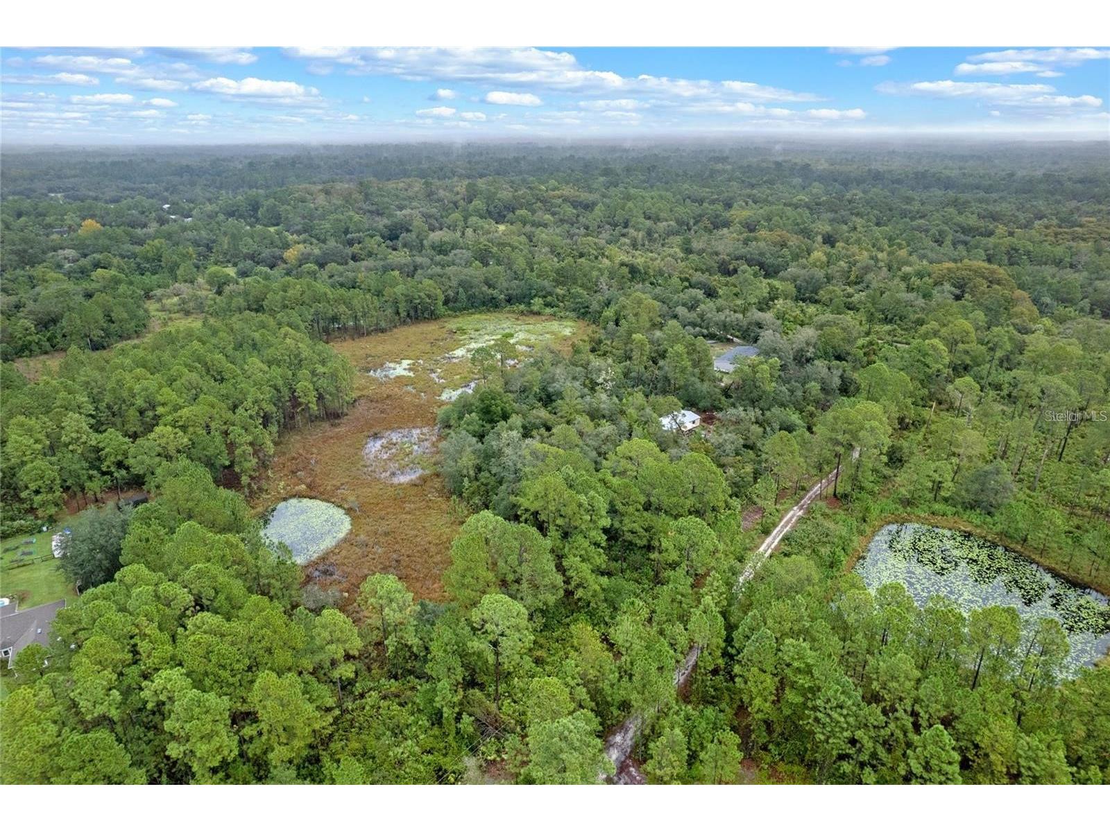 32745 Blackwater Oaks Drive Eustis FL 32736 O6373973 image8