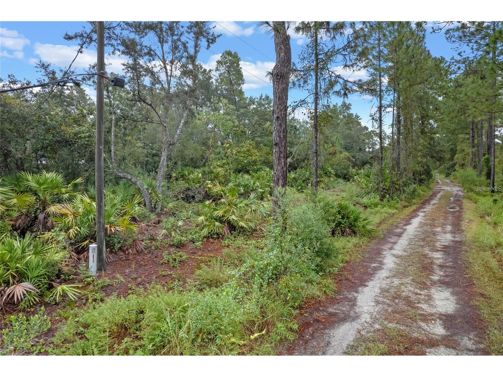 32745 Blackwater Oaks Drive Eustis FL 32736 O6373973 image9