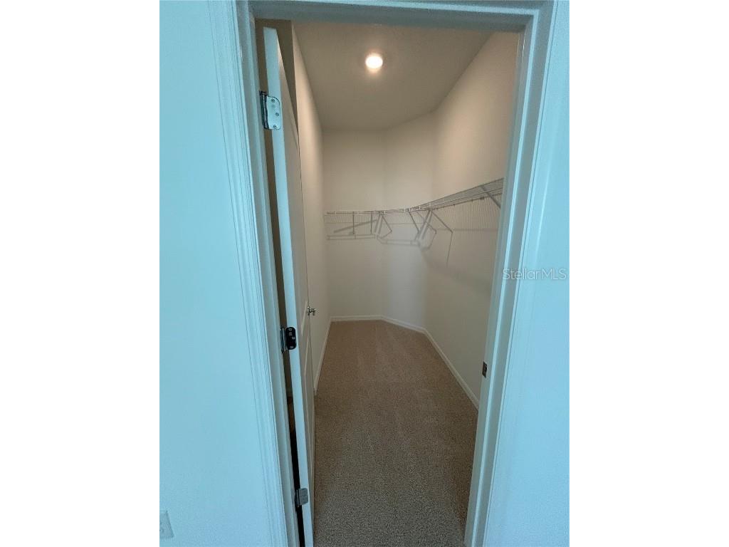 32746 Rustic Rise Road San Antonio FL 33576 TB8454779 image17