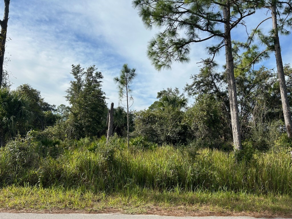 3275 Forghun Avenue SE Palm Bay FL 32909 NS1080123 image1